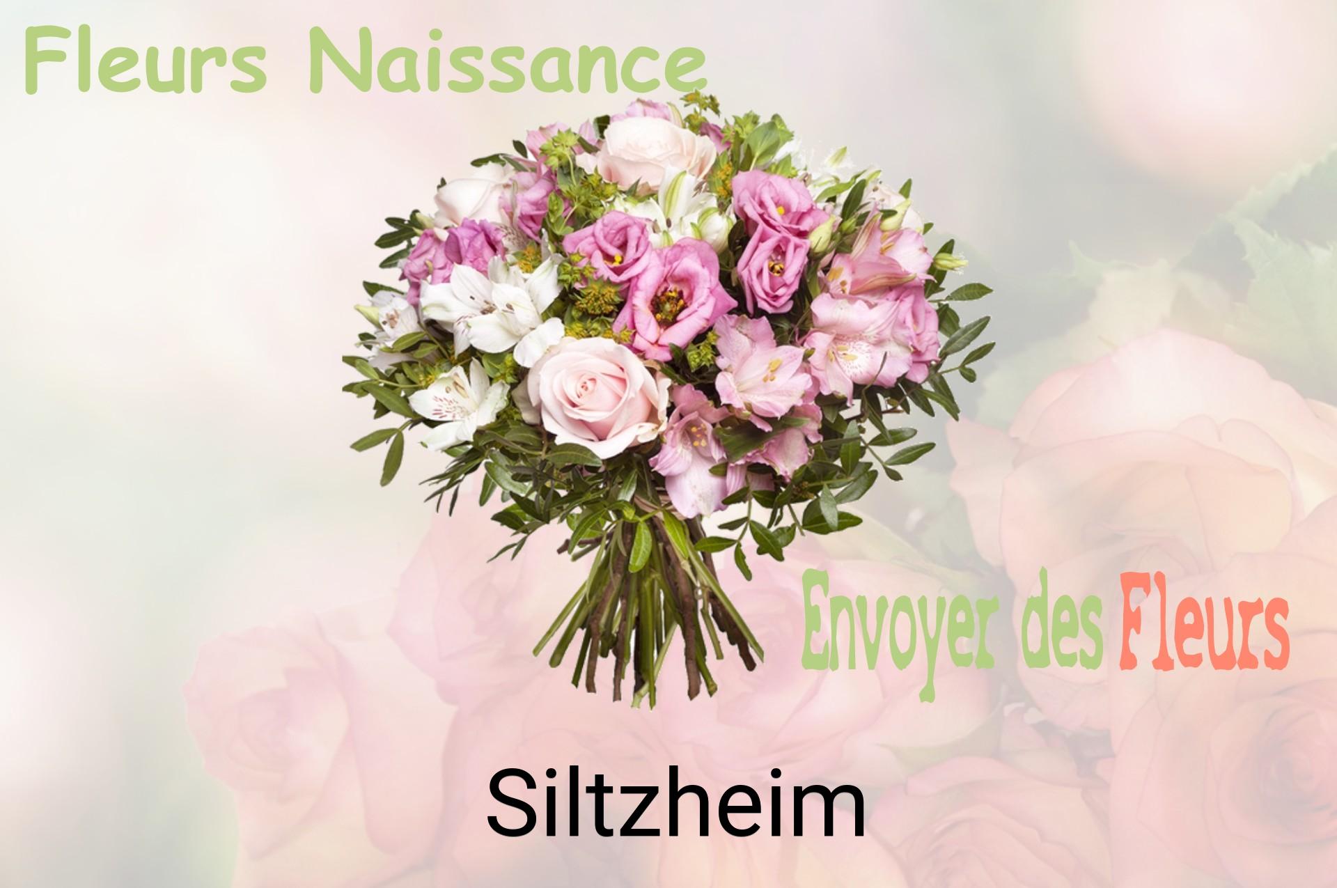 Bouquet de fleurs de naissance livré à Siltzheim